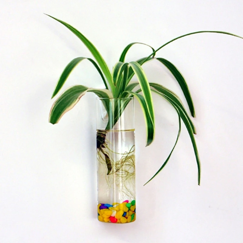Настенный стеклянный цветочный кашпо Ваза для растений Горшок для растений Террариум Домашний садовый декор